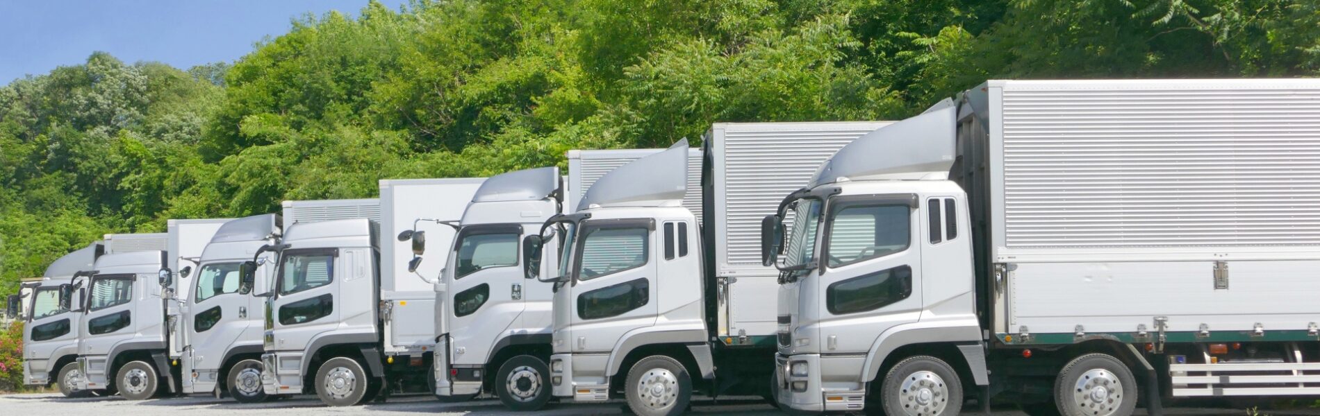 産業廃棄物収集運搬業許可